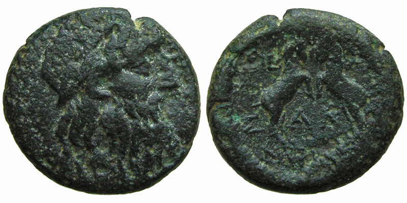 Macedonia, Thessalonica; head of Zeus/two goats