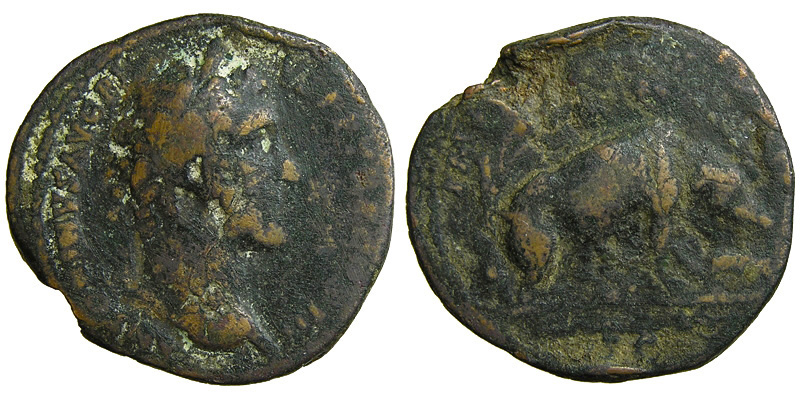 Antoninus Pius; AE As; Alban Sow