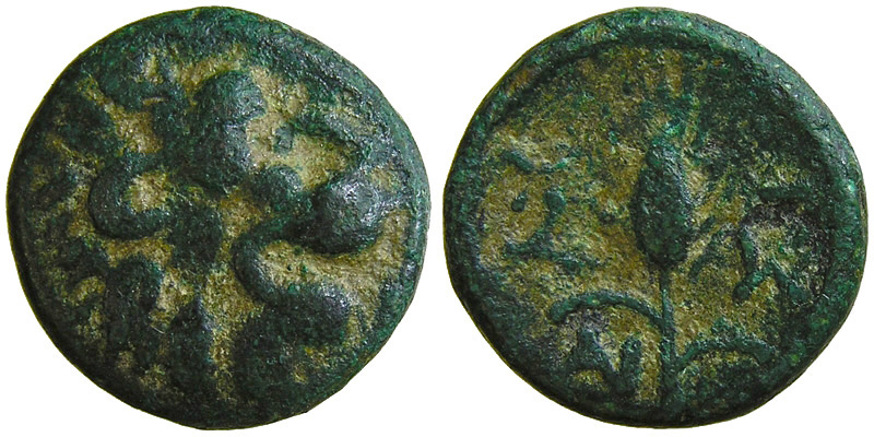 Thrace, Lysimacheia; head of lion/grain ear