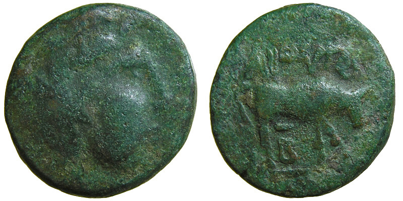 Macedonia, Roman Protectorate; head of Athena/cow