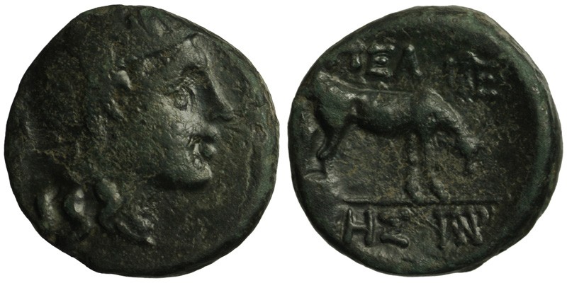 Macedonia, Pella; head of Athena/cow