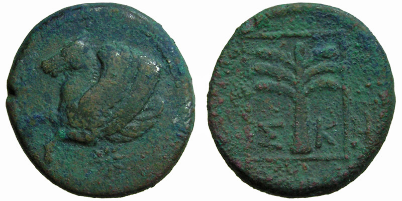 Troas, Skepsis; Pegasosrhyton/fir-tree
