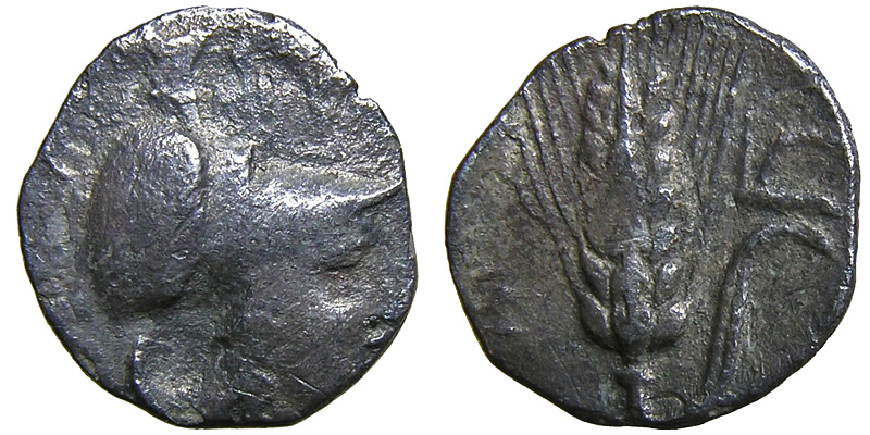 Lucania, Metapontion; AR Diobol; Athena/ear of barley