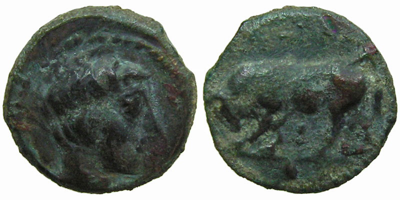 Sicily, Gela; AE Onkia; head of Gelas/bull