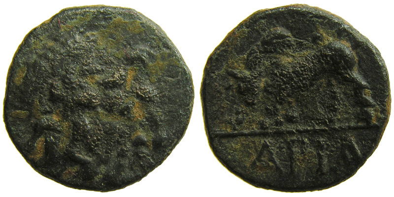 Pisidia, Ariassos; head of Zeus/humped bull