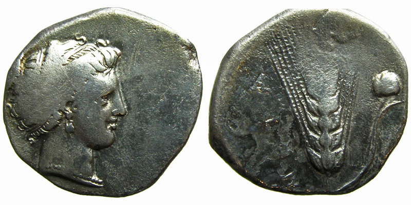 Lucania, Metapontion; AR Nomos; head of Demeter/barley ear, quince