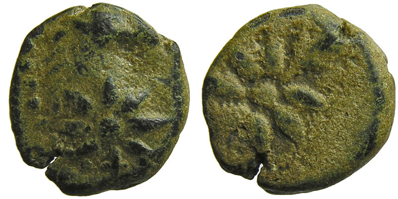 Pontos; comet/head of horse, star