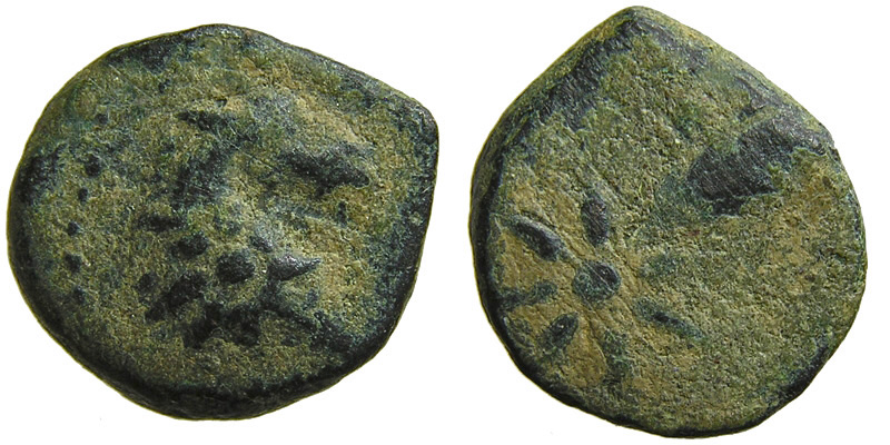 Pontos; comet/head of horse, star