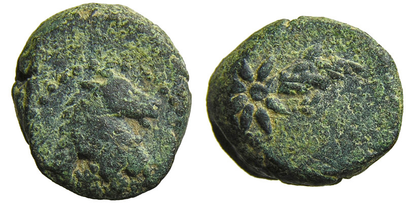 Pontos; comet/head of horse, star
