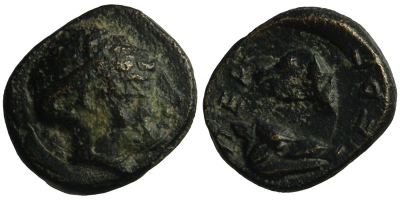 Mysia, Pergamon; head of Apollo/head of boar, snail