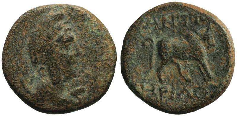 Pisidia, Antioch; Men/humped bull