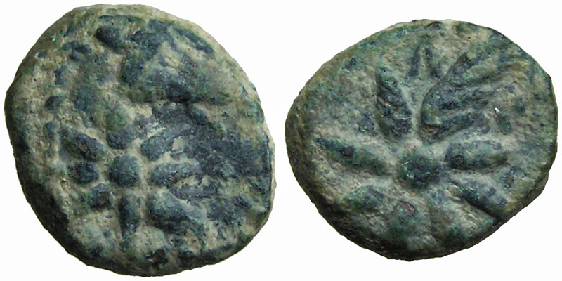 Pontos; comet/head of horse, star